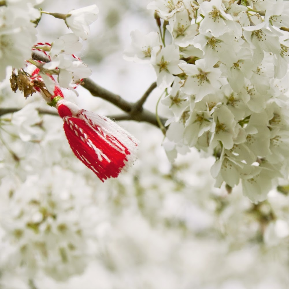 Meet your Posher, Yingqi